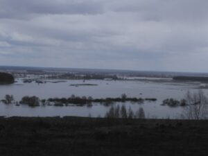 картинка весеннее половодье на Мокше 2018 фото весеннего половодья на Мокше 2018