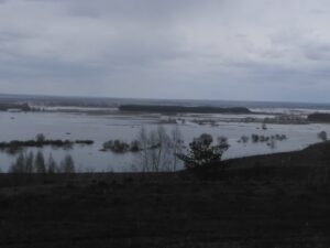 картинка весеннего паводка на Мокше Фото весеннего паводка на реке Мокша
